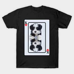 Maltese Terrier T-Shirt